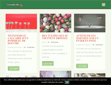 Tablet Screenshot of conseils-bio.com